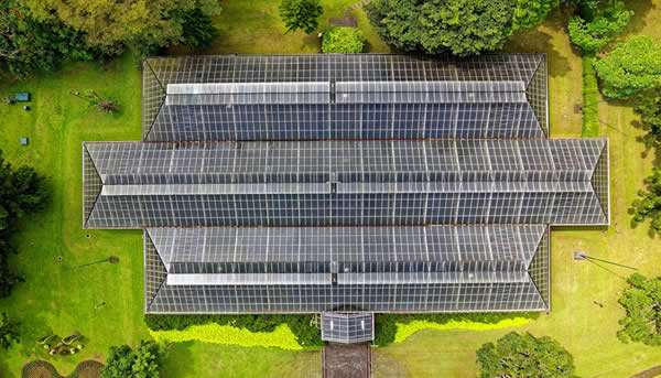 Conozca los Beneficios de Instalar Paneles Solares en su Hogar o Negocio